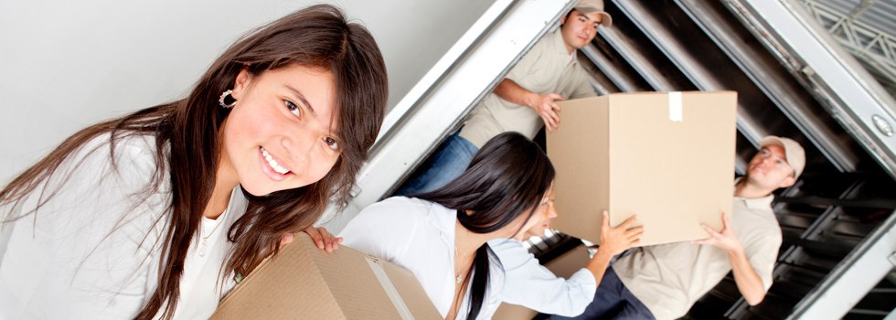 Professional Removalists Timbarra VIC